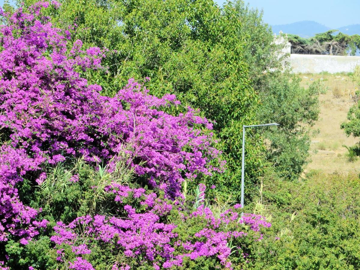 Cais Apartment By Stay In Alentejo Vila Nova de Milfontes Exteriör bild